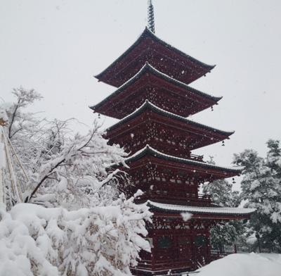 雪やば（笑）青森空港とか観測史上最高の積雪らしいし⛄️
12月はまあまあ読めした！
2024年12月の読書まとめ
読んだ本：17冊
読んだページ：4544ページ
ナイス：1708ナイス
#読書メーター
https://bookmeter.com/users/1146823/summary/monthly/2024/12