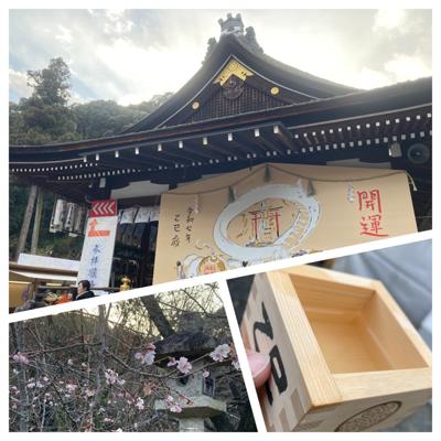 あけましておめでとうございます。今年もどうぞよろしくお願いします。いつもの神社へ初詣、初めて御神酒を頂きました。台の上に置いた一合枡に、並々と注がれたスペシャルブレンド(日本酒)。持ち上げる前に「お迎えに来てください」と言われ、おそるおそる口をつけるこどもの姿が見られました。今年はいくつか初めての場所を訪ね、初めての経験をしてみようと思っています。