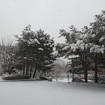 旧正月。こちらは大雪です。