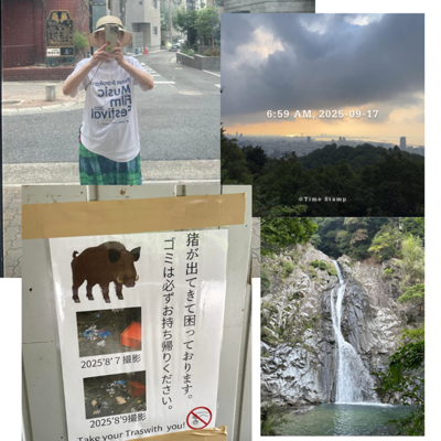 滝詣。何ヶ月ぶりかの展望台。引き返せない道に一歩を踏み出すのはなかなか覚悟が必要だった（大袈裟な）。今朝のTシャツはピーター・バラカン　フィルムフェスティバル　クラファンの返礼品。