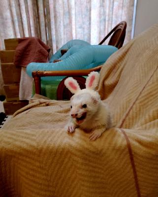 ‥今日の癒やし。。