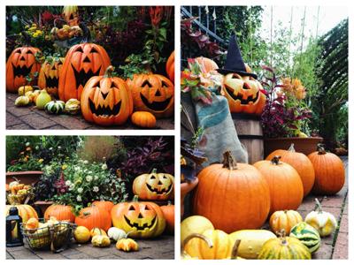 ハロウィンだったようですね