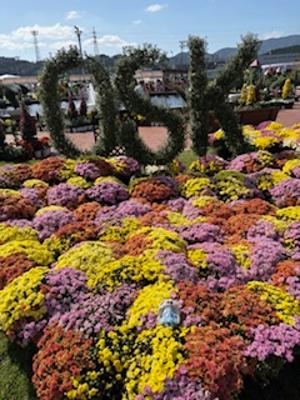 ナイス、コメント感謝です😊山田詠美、宮田珠己、綿矢りさ等読み応えがありました。写真はOSKたけふレビュー観劇記念。とても素晴らしかったので来年も行って観たいです（福井県越前市）。 2025年10月の読書メーター 読んだ本の数：16冊 読んだページ数：5299ページ ナイス数：1356ナイス  ★先月に読んだ本一覧はこちら→ https://bookmeter.com/users/570500/summary/monthly/2025/10
