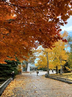この連休は毎日音楽を堪能しました。中学生の吹奏楽部が立派なコンサートホールで演奏できるってすごい。良い経験です。今日から仕事、がんばります。