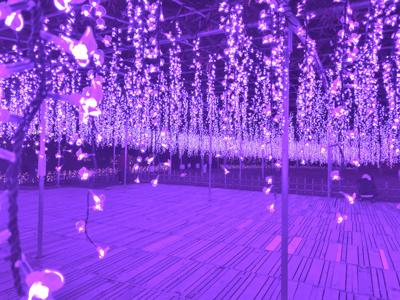 満足しすぎた。いい場所だった。