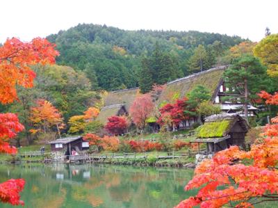 おはようヾ(´ω｀＝´ω｀)ﾉ御座います。今日は、立冬。飛騨の里は、紅葉真っ盛り！