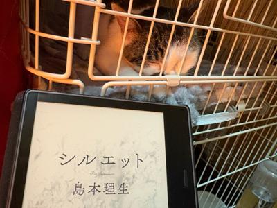 近頃情緒不安定な私　今日はあまり調子が良くありませんでした　でも深夜に静かに猫のゴロゴロ音を聞きながらの読書はとても心を穏やかにしてくれました　島本理生の『シルエット』　17歳のときに書いたデビュー作　他にも二作収録で15歳16歳に書かれた作品　どれもよかった　島本さん、今はエンタメ作家だけど初期の純文作品とても良い　今夜はこの静かな熱を持ったままそっと眠ろうと思います　おやすみなさい