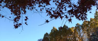 緑と金色に紅く染まった木々　
そしてどこまでも追ってくるひび割れた鐘の音　
いや高い天なる力で　
時間の苧環はのろのろと綾とられていく　
スプリーンとイデアの似て非な違い　
月の女神が小唄を歌いながら　
七つの罪を弾劾する　