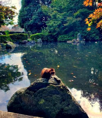 ‥石の上にも三年。。:(_;`꒳´;):_