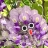 いちご