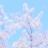 風鈴草