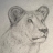ジョゼ★ネコを愛する絵描き（趣味）