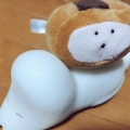 笹