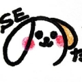 野田犬