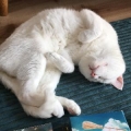 すし