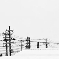 無謬の雪