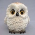 owl68