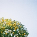 💐