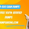 MB-300 Exam Dumps