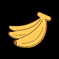 Zony 