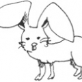 リサコ