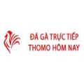 Đá Gà Trực Tiếp Thomo Hôm Nay