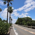 渡邊するめ