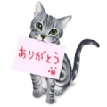 （「・ω・）「ｶﾞｵｰ