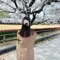 あおい