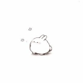 かろうきてぃ