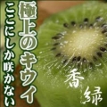フルカワキウイ