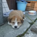 まる