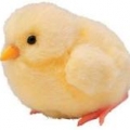 雛子