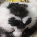 紺埼三鶴