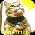 rokuplus 