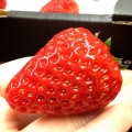 にけ