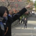 Chiho Ito