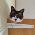 びーとぅん