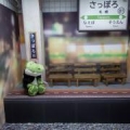ワニ🐊
