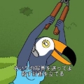 とうふ