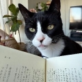 このん