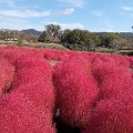 風に吹かれて