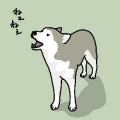 あさい