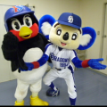 mayumin