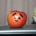 おほり