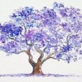 紫の木