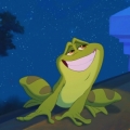 Frog-kun