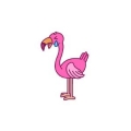 annoying Flamingo 🦩