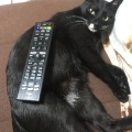 あすく