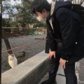 どうぶつ公園